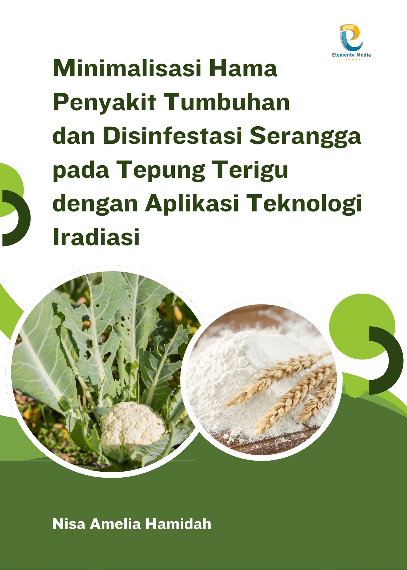 Minimalisasi Hama Penyakit Tumbuhan dan Disinfestasi Serangga pada Tepung Terigu dengan Aplikasi Teknologi Iradiasi